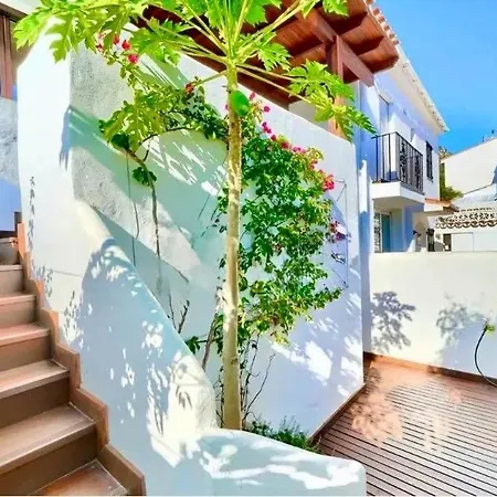 Casa Papaya